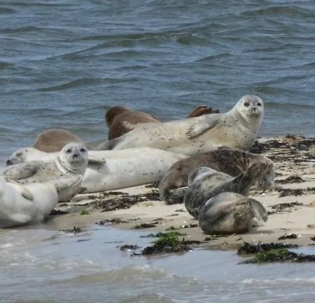 Hotel Relitto Boutique Und *