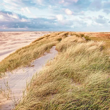 Relitto Boutique Und * Borkum