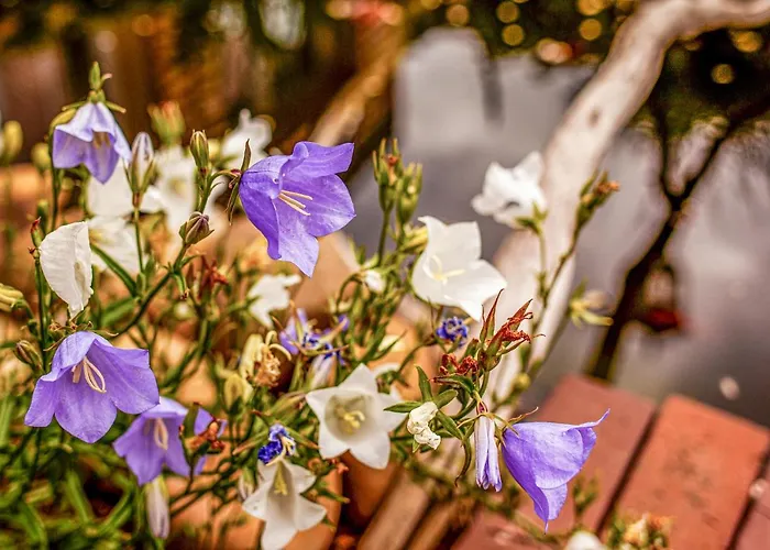 Relitto Boutique Und Отель Боркум